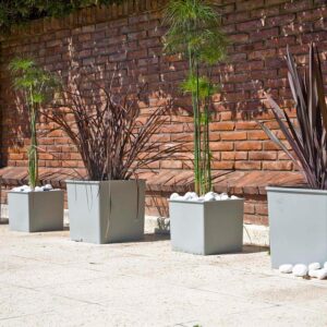 Cubo – Matri
