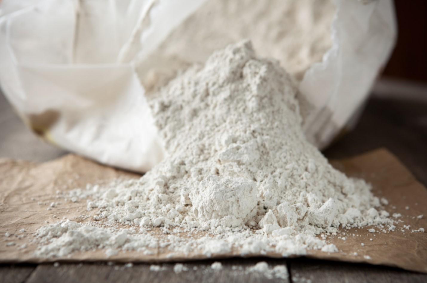 Tierra de diatomea 1kg