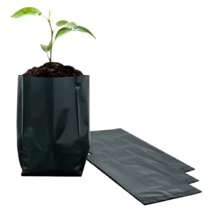 Bolsa de cultivo