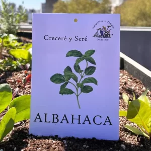 Albahaca
