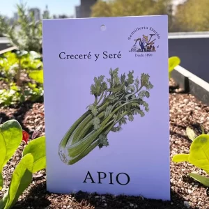 Apio