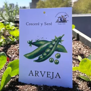 Arveja