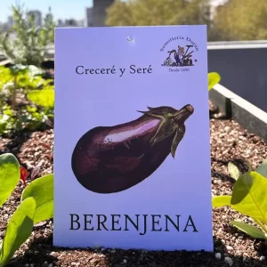 Berenjena