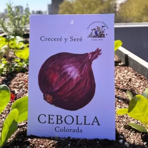 Cebolla colorada