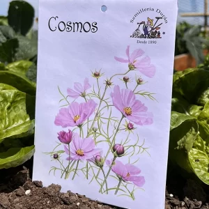 Cosmos
