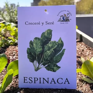 Espinaca