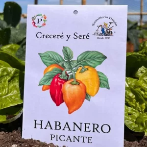 Habanero picante