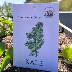 Kale