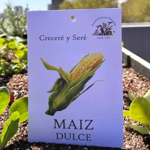 Maíz dulce