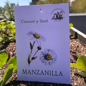 Manzanilla