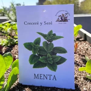 Menta
