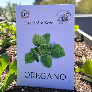 Oregano