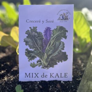 Mix de Kale