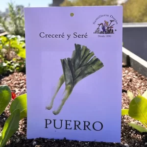 Puerro