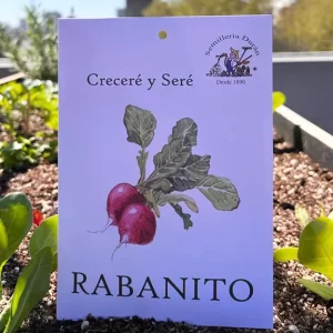 Rabanito
