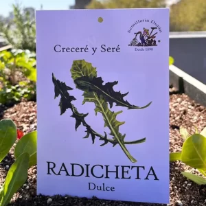 Radicheta dulce