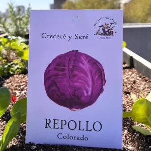Repollo colorado