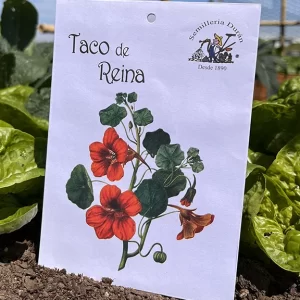 Taco de reina