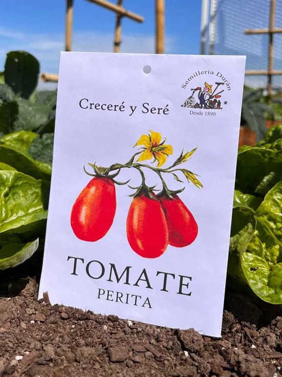 Tomate perita
