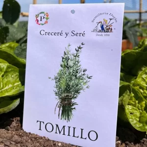 Tomillo